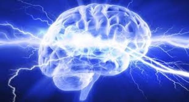 New Technology Facilitates Precise Measurement Of The Brain Activity