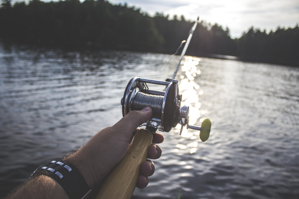 A Man in Maine Finally Gets the "Unicorn" Fish He's Been Chasing for Two Decades