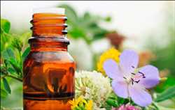 Global Aroma Chemicals Market opportunities